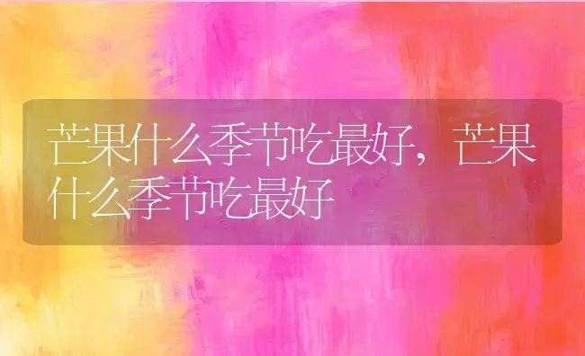 洋甘菊的花语,棉花洋甘菊寓意？ | 养殖常见问题
