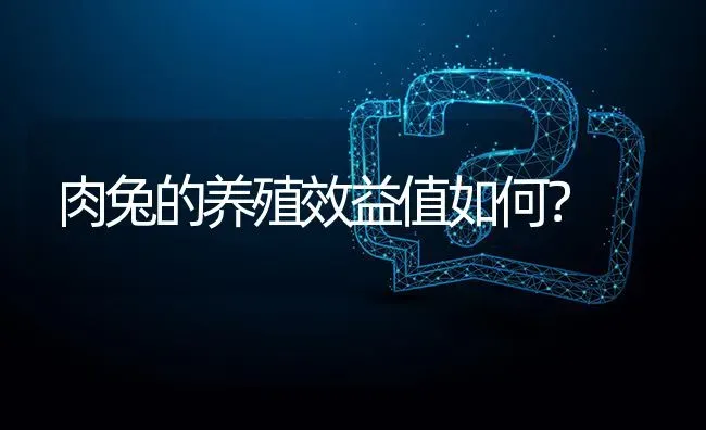 肉兔的养殖效益值如何? | 养殖问题解答