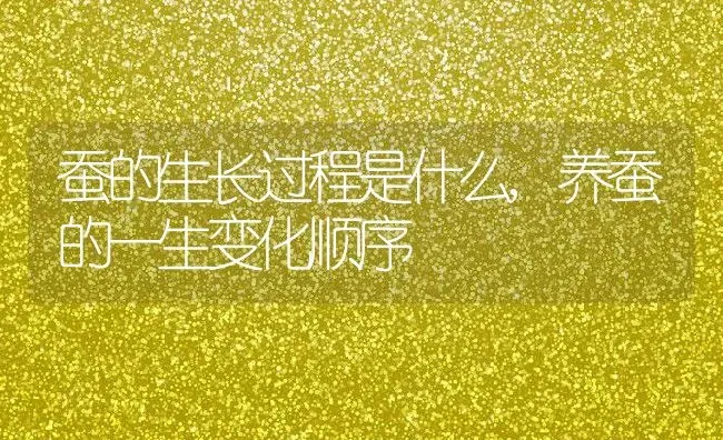蚕的生长过程是什么,养蚕的一生变化顺序 | 养殖常见问题
