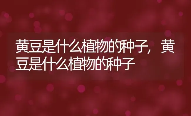 爬山虎长什么样,爬山虎长什么样 | 养殖常见问题