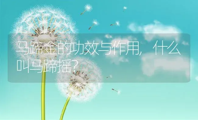 马蹄金的功效与作用,什么叫马蹄摇？ | 养殖常见问题