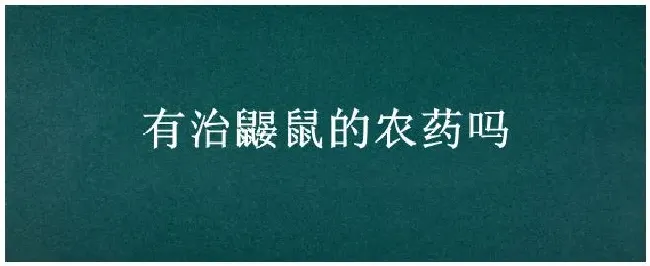 有治鼹鼠的农药吗 | 生活常识