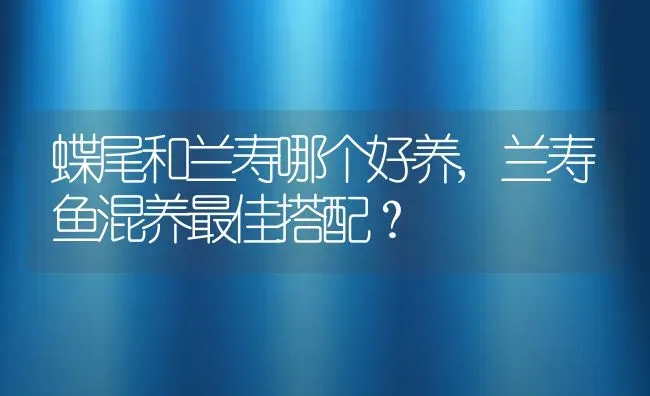 蝶尾和兰寿哪个好养,兰寿鱼混养最佳搭配？ | 养殖常见问题