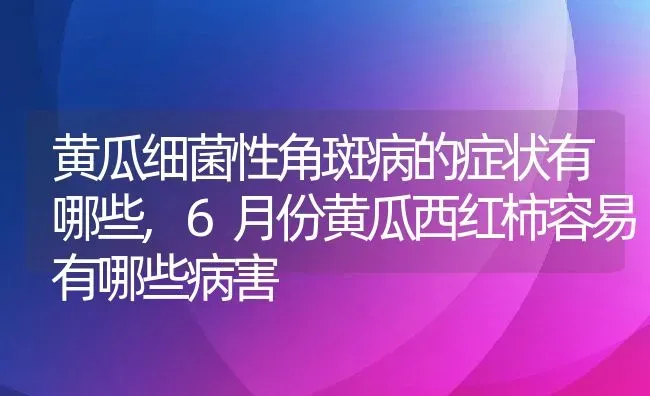 黄瓜细菌性角斑病的症状有哪些,6月份黄瓜西红柿容易有哪些病害 | 养殖常见问题