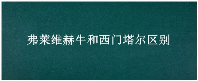 弗莱维赫牛和西门塔尔区别 | 农业答疑