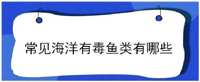 常见海洋有毒鱼类有哪些 | 生活常识