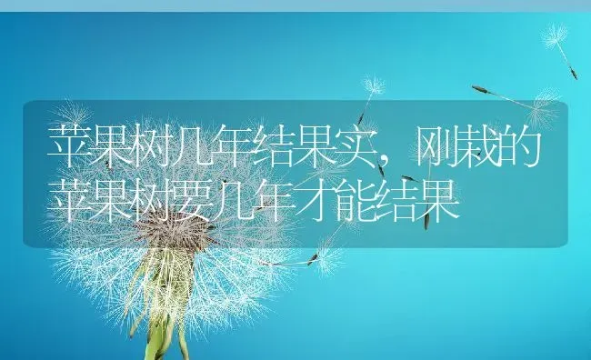 苹果树几年结果实,刚栽的苹果树要几年才能结果 | 养殖常见问题