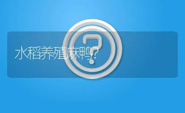 水稻养殖麻鸭? | 养殖问题解答