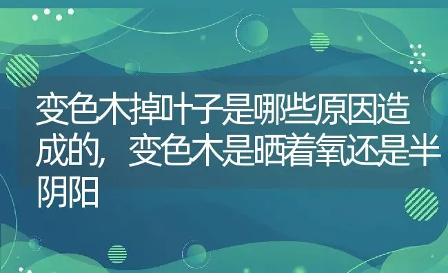 变色木掉叶子是哪些原因造成的,变色木是晒着氧还是半阴阳 | 养殖常见问题