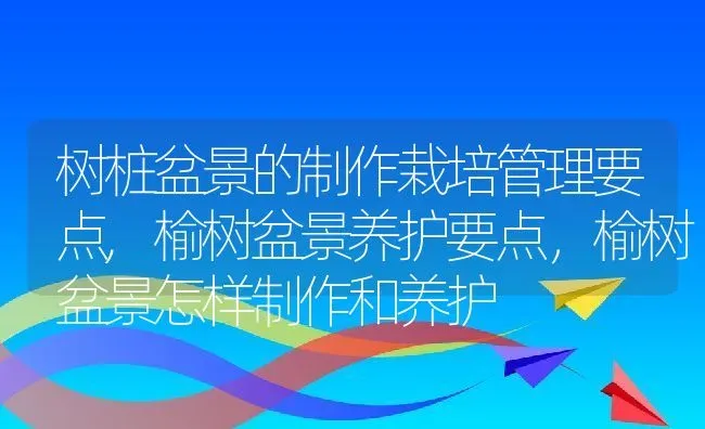 树桩盆景的制作栽培管理要点,榆树盆景养护要点，榆树盆景怎样制作和养护 | 养殖常见问题
