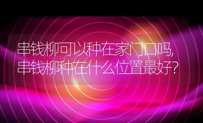 串钱柳可以种在家门口吗,串钱柳种在什么位置最好？ | 养殖常见问题