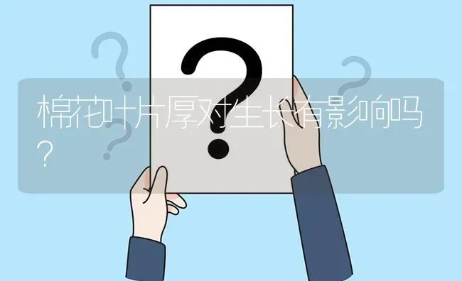 棉花叶片厚对生长有影响吗? | 养殖问题解答