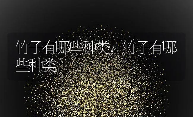 竹子有哪些种类,竹子有哪些种类 | 养殖常见问题