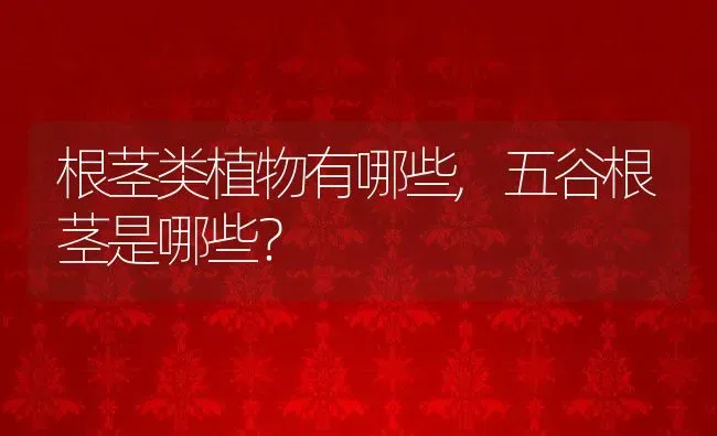 根茎类植物有哪些,五谷根茎是哪些？ | 养殖常见问题