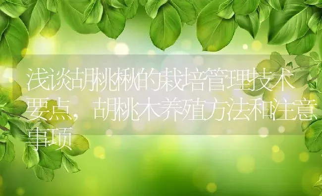 浅谈胡桃楸的栽培管理技术要点,胡桃木养殖方法和注意事项 | 养殖常见问题