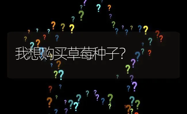 我想购买草莓种子? | 养殖问题解答