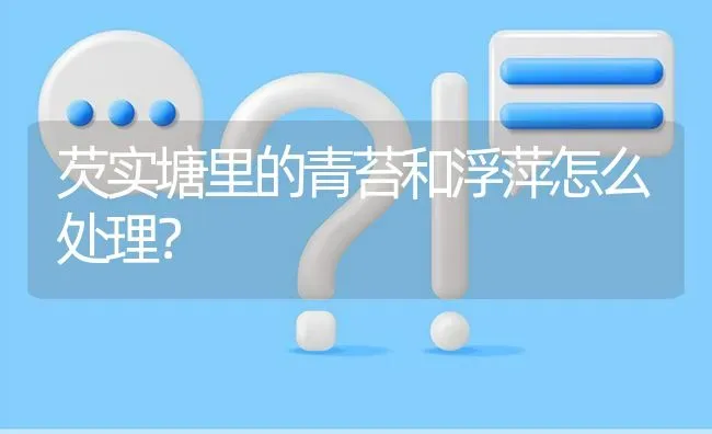 芡实塘里的青苔和浮萍怎么处理? | 养殖问题解答