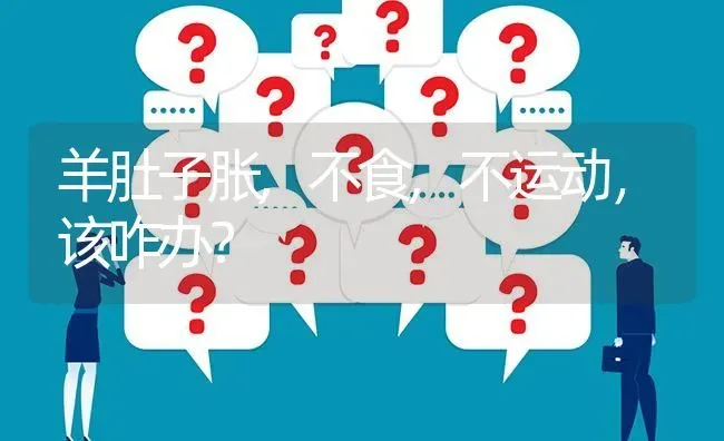 羊肚子胀,不食,不运动,该咋办? | 养殖问题解答