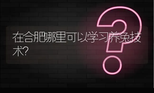 在合肥哪里可以学习养兔技术? | 养殖问题解答