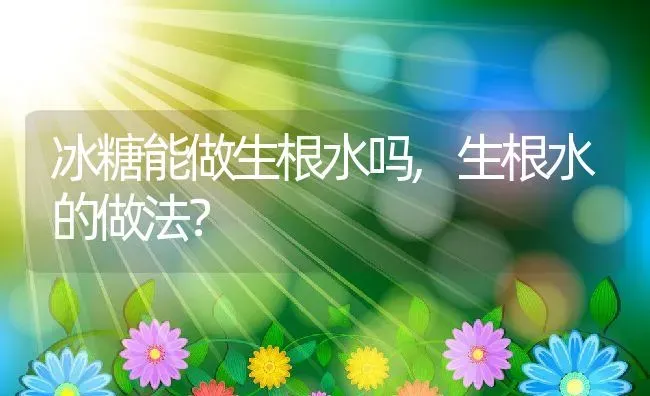 冰糖能做生根水吗,生根水的做法？ | 养殖常见问题