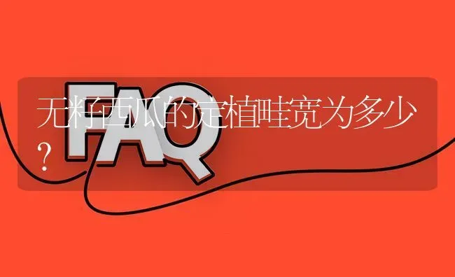 无籽西瓜的定植畦宽为多少? | 养殖问题解答