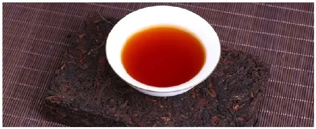 茶砖是什么茶 | 农业问题