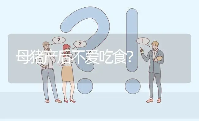 母猪产后不爱吃食? | 养殖问题解答