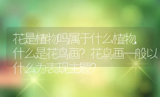 花是植物吗属于什么植物,什么是花鸟画？花鸟画一般以什么为表现主题？ | 养殖常见问题
