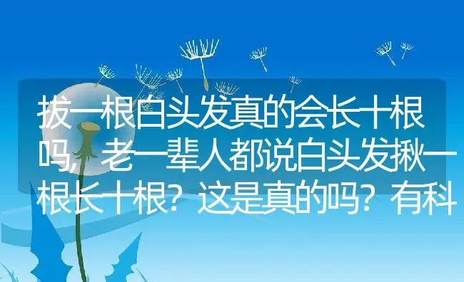 拔一根白头发真的会长十根吗,老一辈人都说白头发揪一根长十根？这是真的吗？有科学理据吗？ | 养殖常见问题