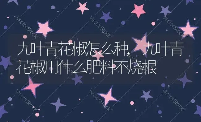 九叶青花椒怎么种,九叶青花椒用什么肥料不烧根 | 养殖常见问题