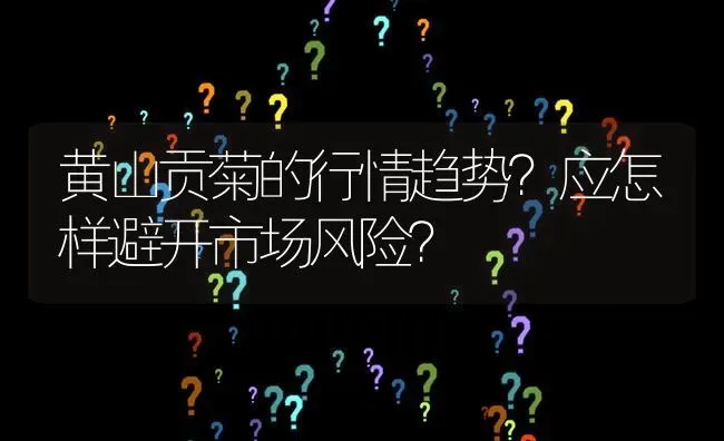 黄山贡菊的行情趋势?应怎样避开市场风险? | 养殖问题解答