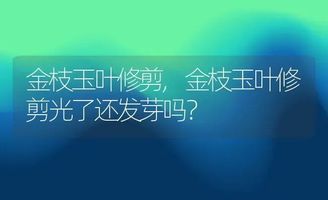 金枝玉叶修剪,金枝玉叶修剪光了还发芽吗？ | 养殖常见问题