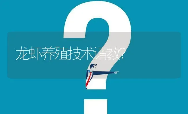 龙虾养殖技术请教? | 养殖问题解答