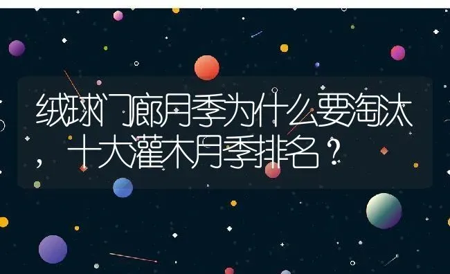 绒球门廊月季为什么要淘汰,十大灌木月季排名？ | 养殖常见问题