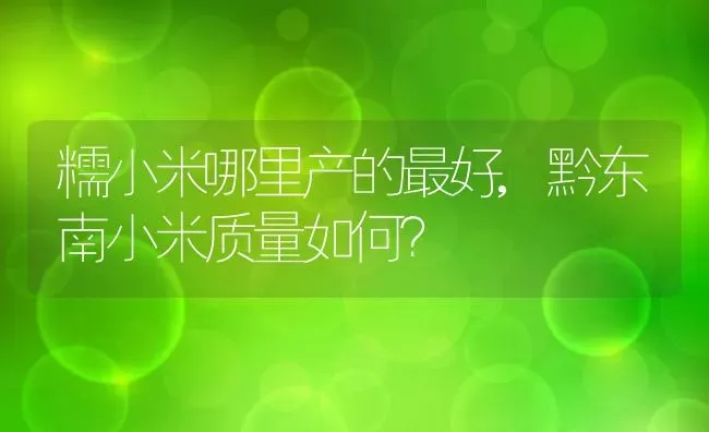 糯小米哪里产的最好,黔东南小米质量如何？ | 养殖常见问题