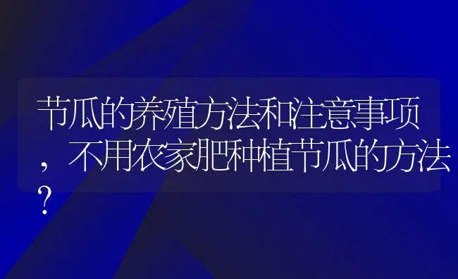 节瓜的养殖方法和注意事项,不用农家肥种植节瓜的方法？ | 养殖常见问题