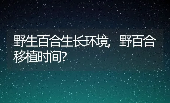 野生百合生长环境,野百合移植时间？ | 养殖常见问题