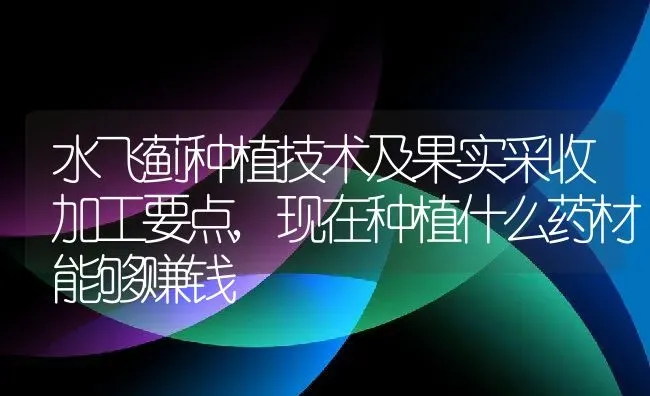 水飞蓟种植技术及果实采收加工要点,现在种植什么药材能够赚钱 | 养殖常见问题