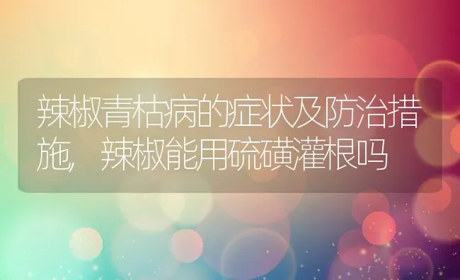 辣椒青枯病的症状及防治措施,辣椒能用硫磺灌根吗 | 养殖常见问题