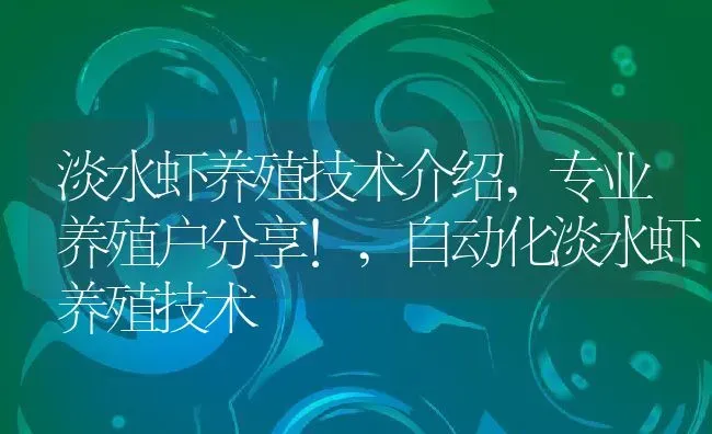 淡水虾养殖技术介绍,专业养殖户分享!,自动化淡水虾养殖技术 | 养殖常见问题