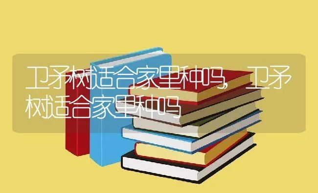 卫矛树适合家里种吗,卫矛树适合家里种吗 | 养殖常见问题