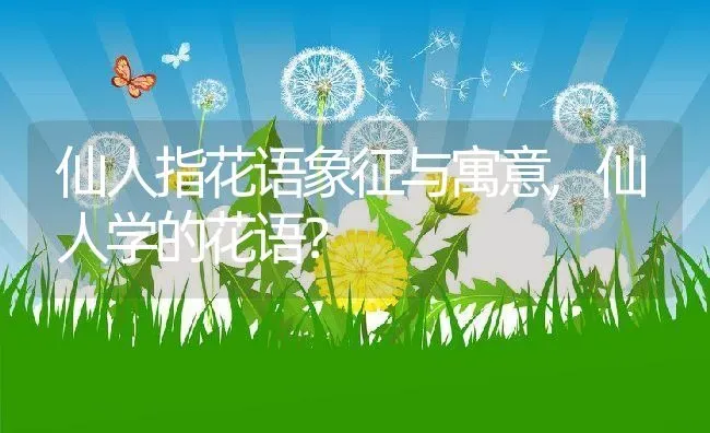 仙人指花语象征与寓意,仙人学的花语？ | 养殖常见问题