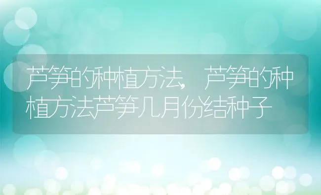 芦笋的种植方法,芦笋的种植方法芦笋几月份结种子 | 养殖常见问题