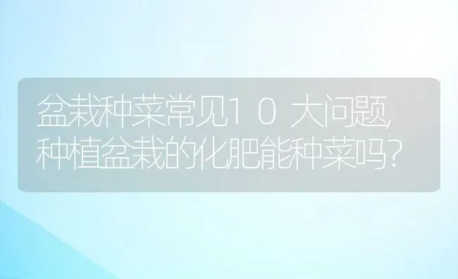 盆栽种菜常见10大问题,种植盆栽的化肥能种菜吗？ | 养殖常见问题