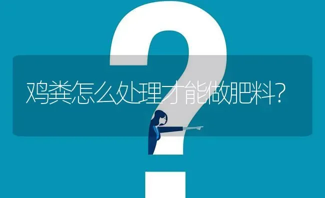 鸡粪怎么处理才能做肥料? | 养殖问题解答