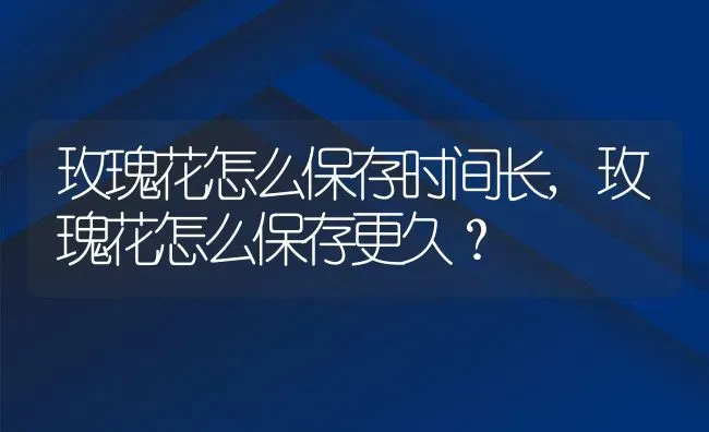 玫瑰花怎么保存时间长,玫瑰花怎么保存更久？ | 养殖常见问题