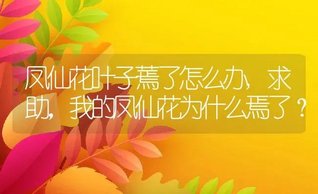 凤仙花叶子蔫了怎么办,求助，我的凤仙花为什么焉了？ | 养殖常见问题