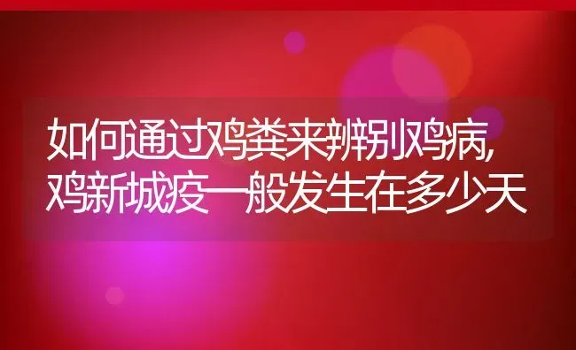 如何通过鸡粪来辨别鸡病,鸡新城疫一般发生在多少天 | 养殖常见问题