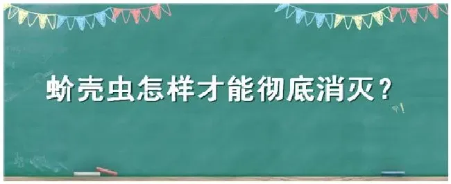 蚧壳虫怎样才能彻底消灭 | 农业常识