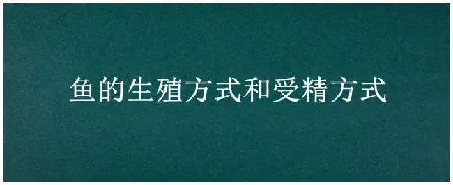 鱼的生殖方式和受精方式 | 农业答疑